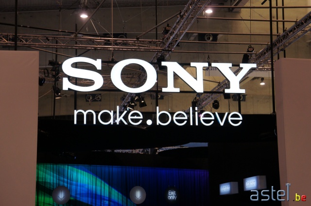 Sony 2013